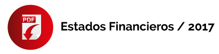Estados Financieros 2017; Sky ambulances