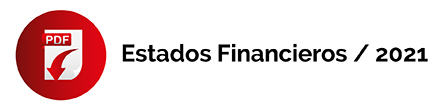 Estados Financieros; Sky ambulances